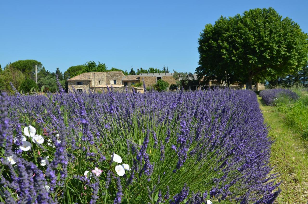 Mas De L'Amme Bed & Breakfast Valreas Exterior photo