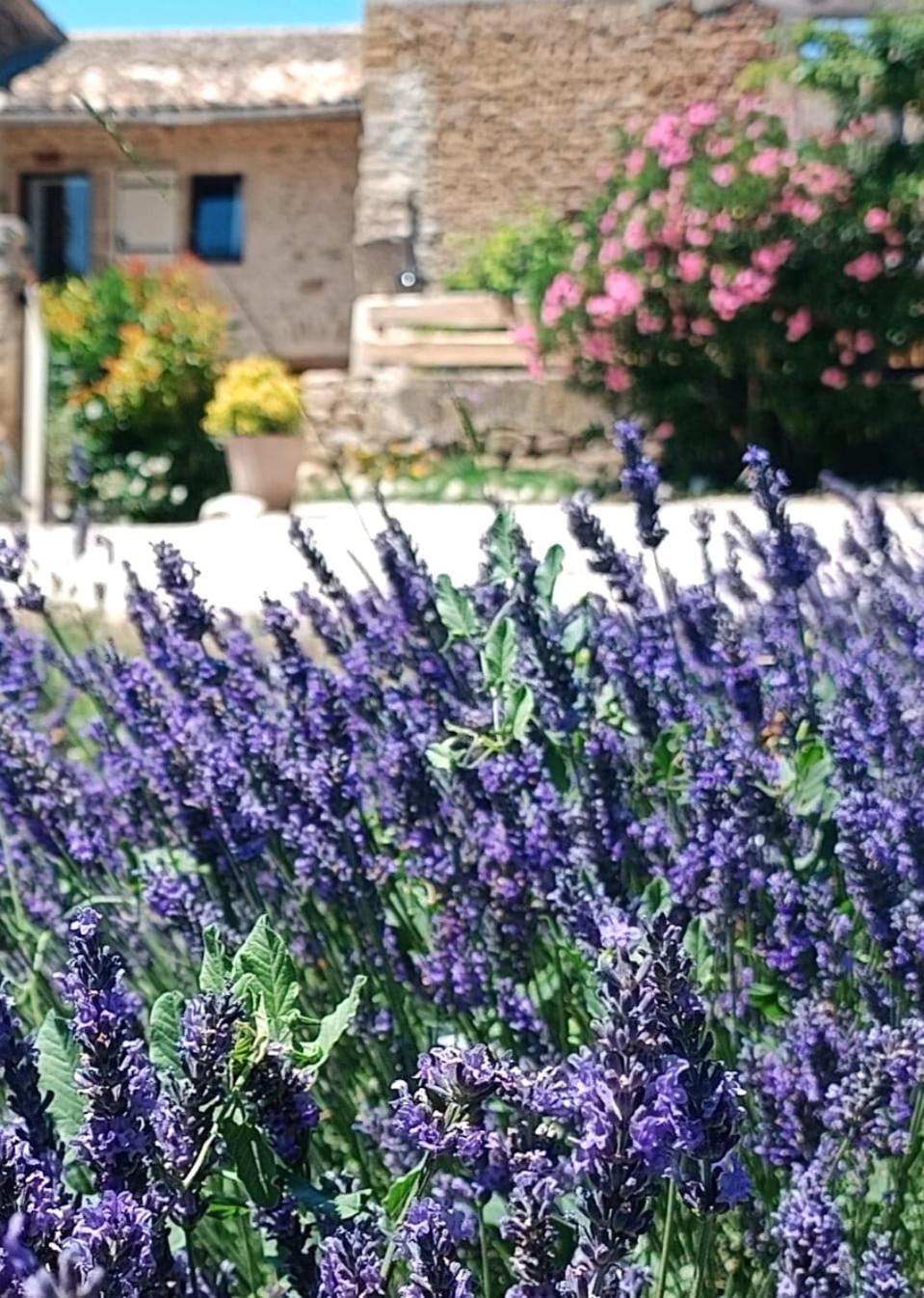 Mas De L'Amme Bed & Breakfast Valreas Exterior photo